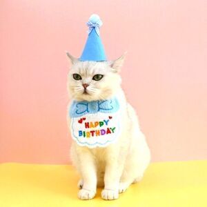 2/$20 Brand new pet happy birthday costume